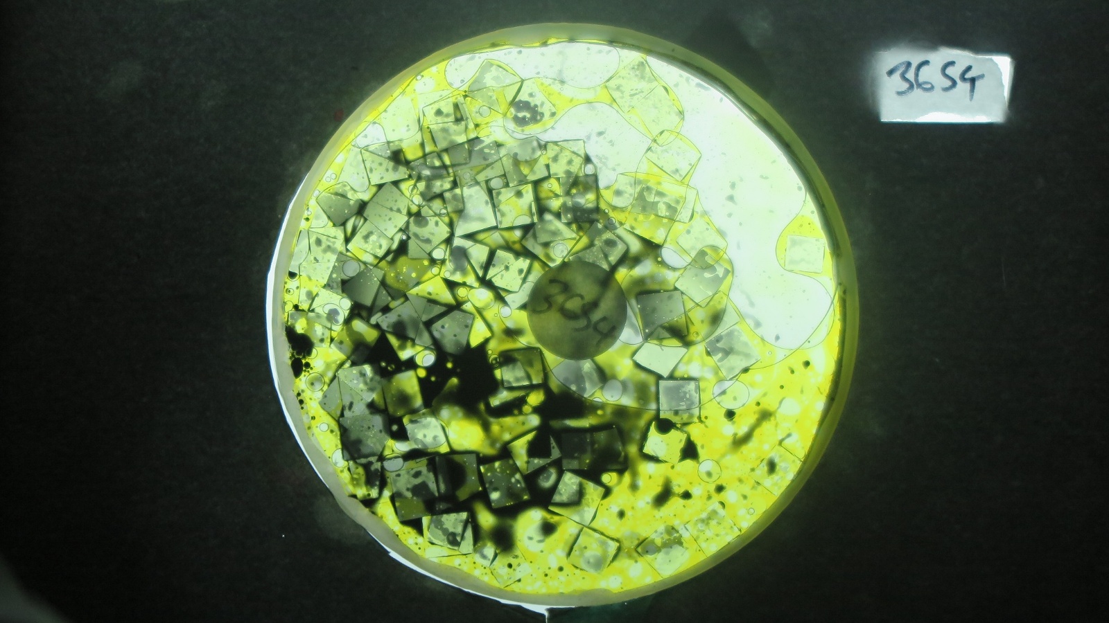 Bv3654 bubble vision oil wheel